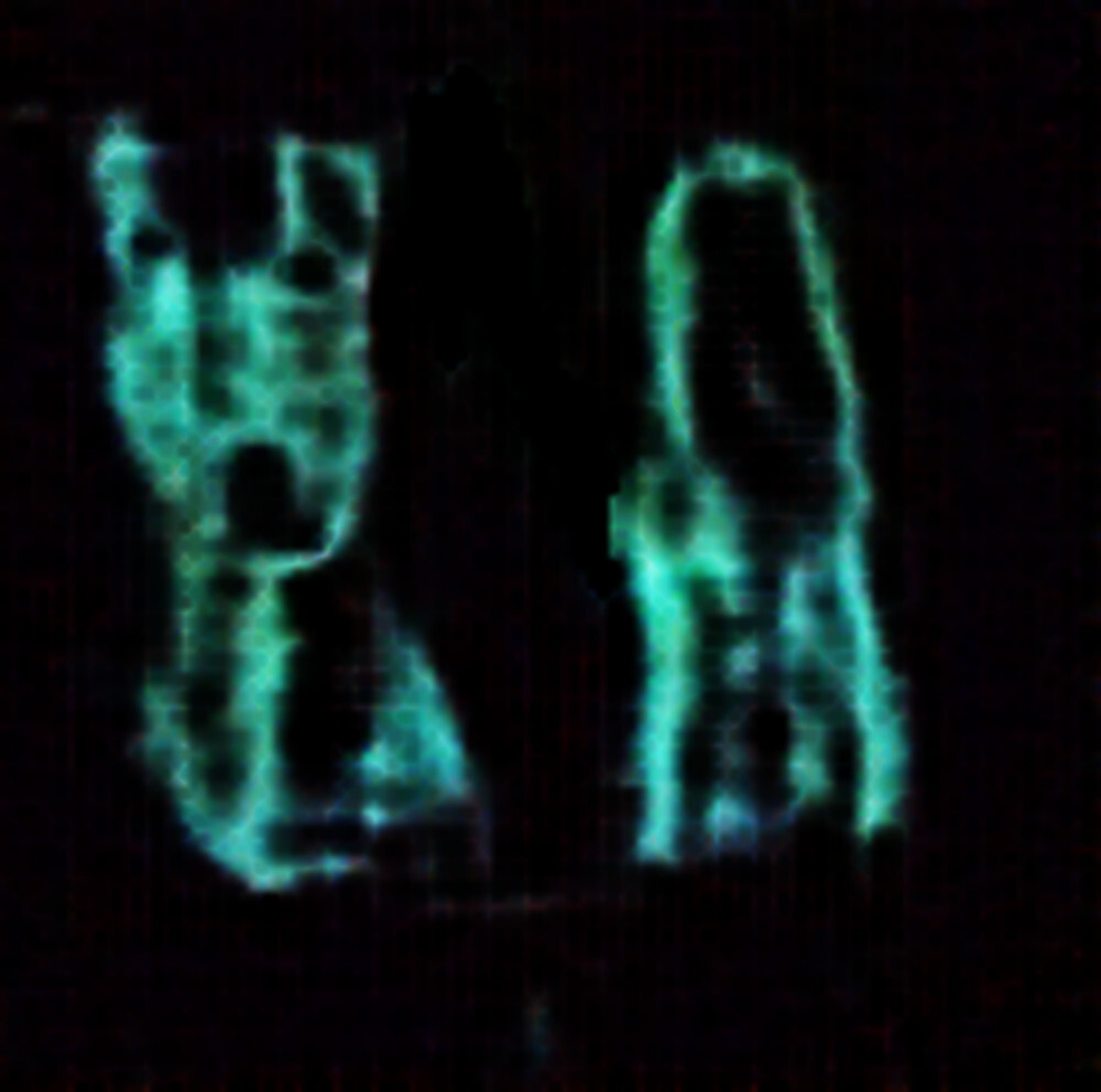 Cast image